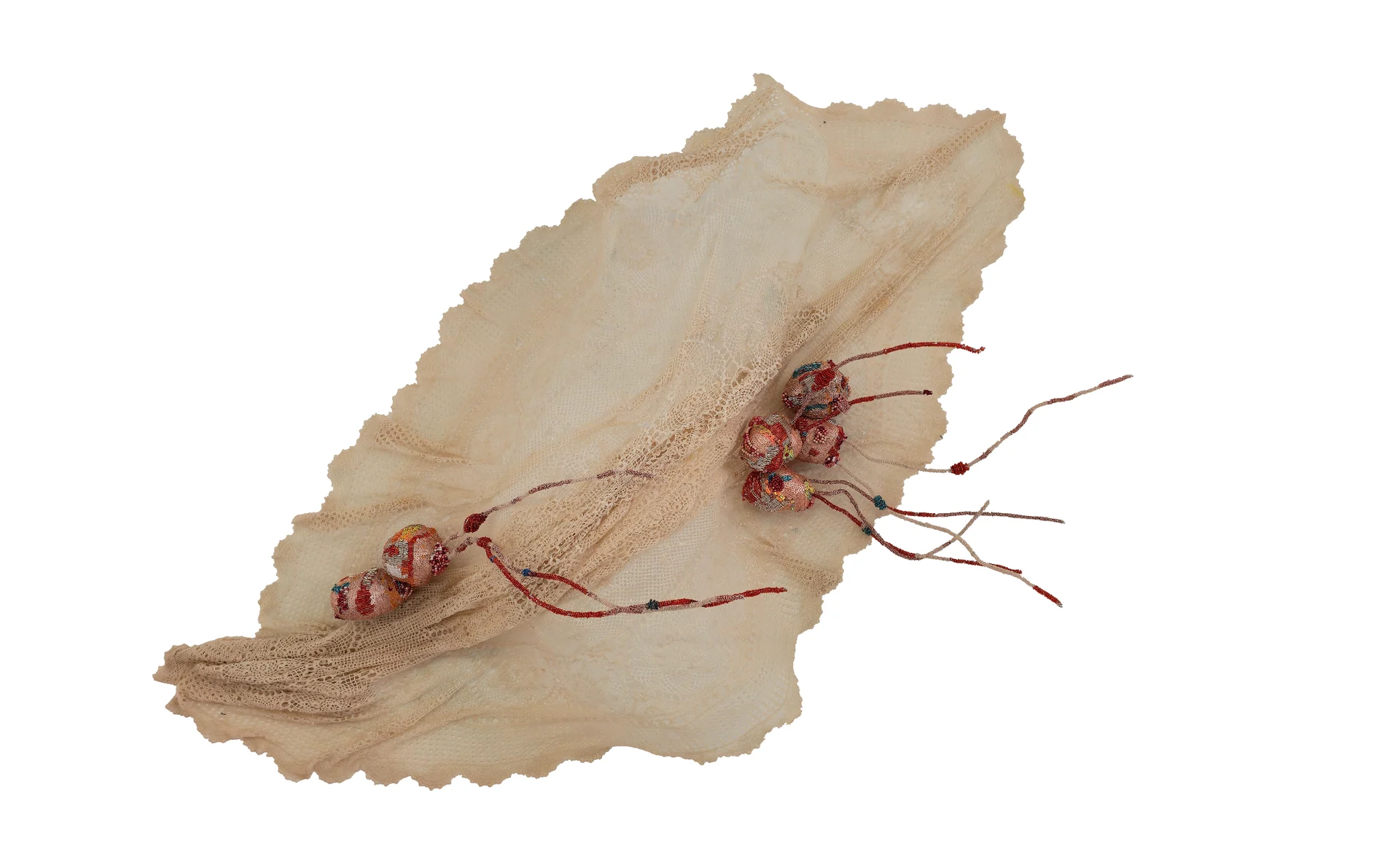 A Wound in Formation